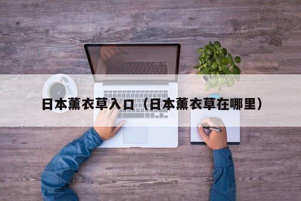 日本薰衣草入口(日本薰衣草在哪里)