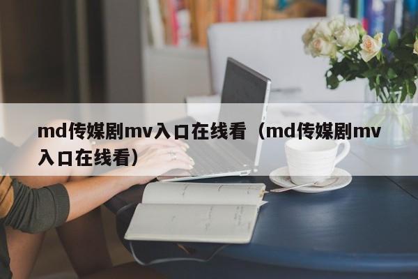 md传媒剧mv入口在线看(md传媒剧mv入口在线看)