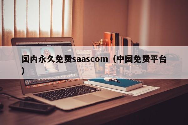 国内永久免费saascom(中国免费平台)