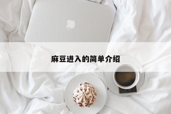麻豆进入的简单介绍