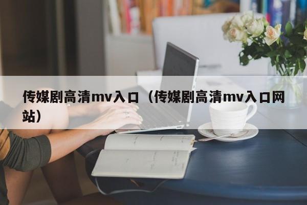 传媒剧高清mv入口(传媒剧高清mv入口网站)