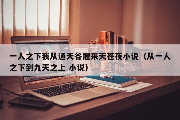 一人之下我从通天谷醒来天苍夜小说(从一人之下到九天之上 小说)